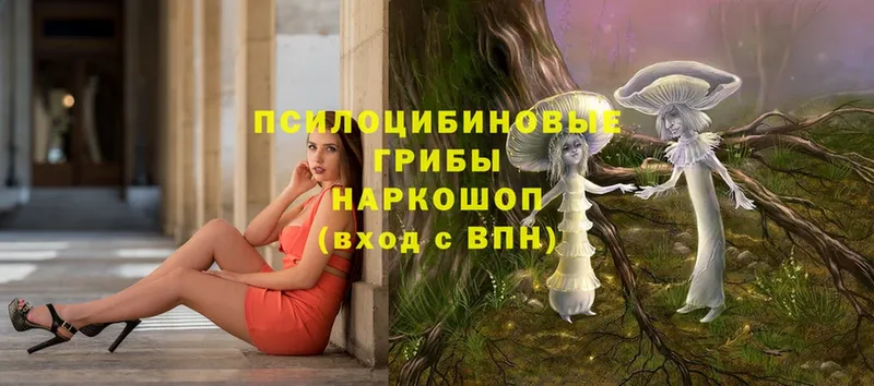 купить  сайты  Зверево  Галлюциногенные грибы Magic Shrooms 